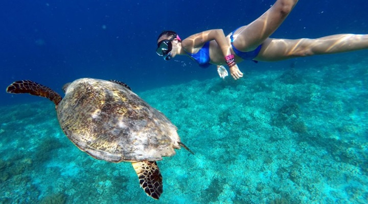 Sohoton Caves and Natural Bridge Park